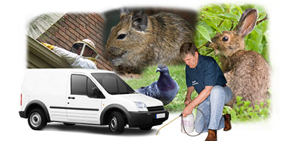 Stourbridge local van